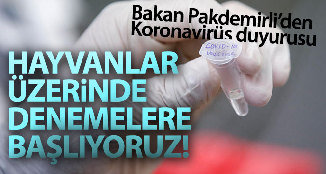 Hayvanlar Üzerinde Denemelere Başlandı 1 3302607