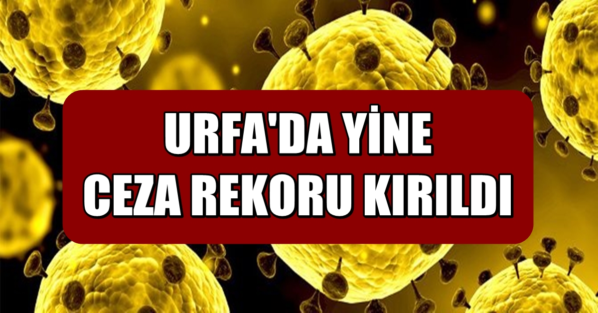 Urfa'da Kurallara Uymayan 74 Kişiye Ceza 1 4444