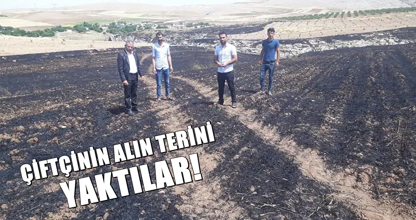 Urfa'da Çiftçinin Alın Teri Yok Oldu 1 ANIZ YANGİNİ