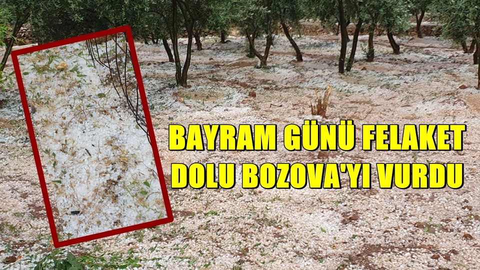 Bozova'da Dolu Yağışı: Bahçeler Büyük Zarar Gördü 1 BOZOVA DOLU