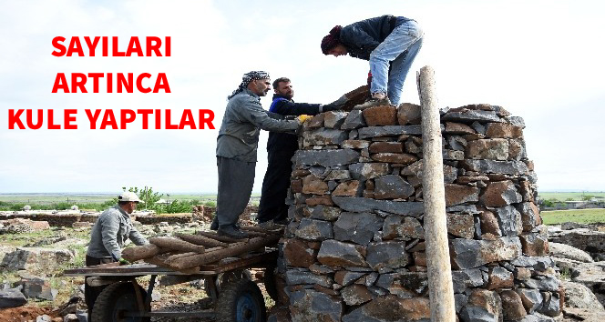 Sayıları Artınca Kule Yaparak Destek Oldular 1 PSX 20200507 112837