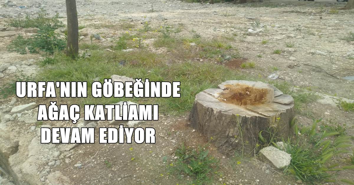 URFA KATLİAM