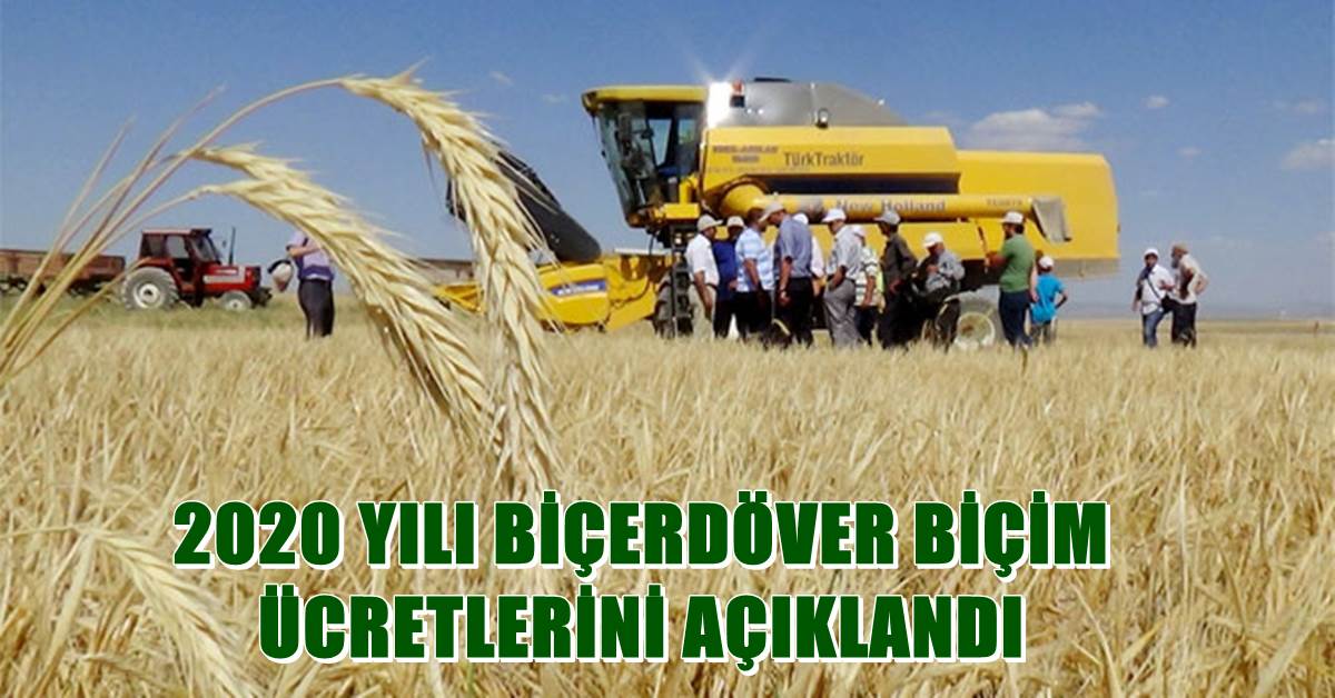 Urfa Ziraat Odası Açıkladı 1 biçer