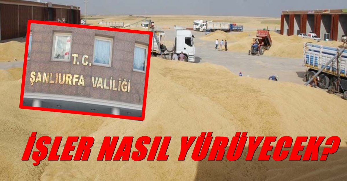 Urfa Buğday pazarlarında işler nasıl yürüyecek? 1 bugday pazari