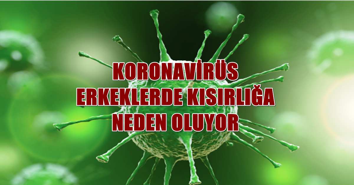 Koronavirüs Erkeklerde Kısırlığa Neden Oluyor 1 corona virüs Kısırlık