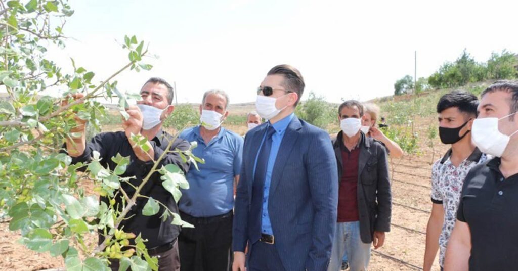 Şanlıurfa Fıstık Üreticisi