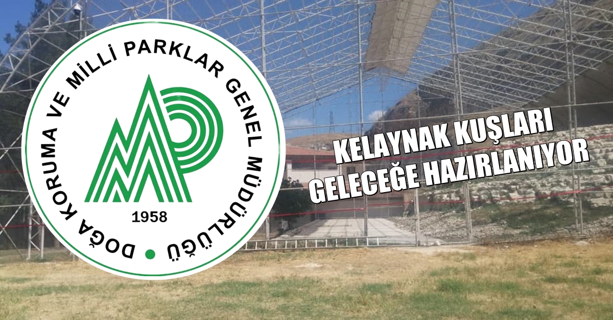 Kelaynaklar İçin Çalışmalar Devam Ediyor 1 kelaynak kuslari