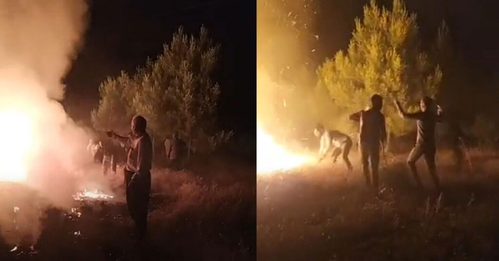 Sigara İzmariti Şanlıurfa'nın Ciğerini Yaktı 1 Şanlıurfa Orman Yangını