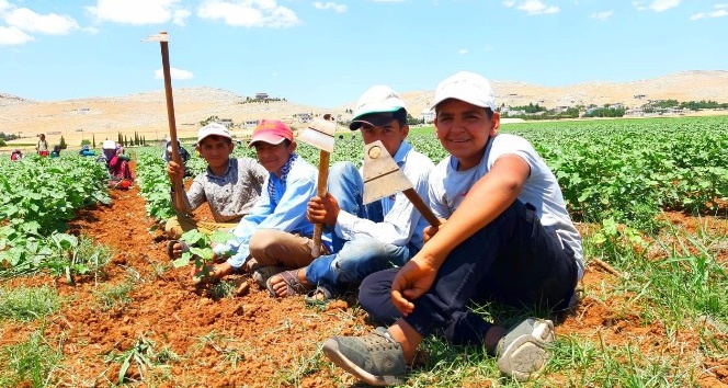 50 Derece Sıcaklıkta 50 Liraya Çalışıyorlar 1 3351027