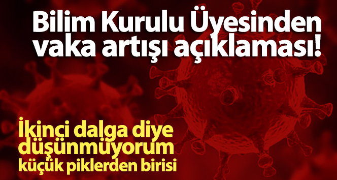 Koronavirüste İkinci Dalga mı Geldi? 1 bilim kurulu