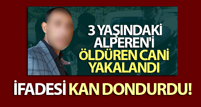 evlat katili