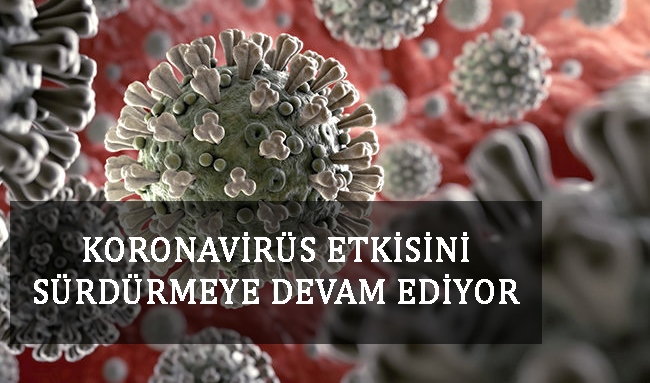 Koronavirüs Etkisini Sürdürmeye Devam Ediyor 1 koronavirus turkiye