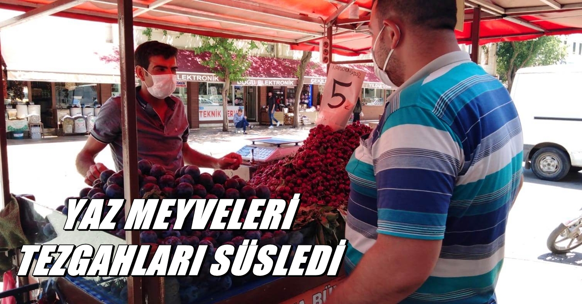 yaz meyveleri