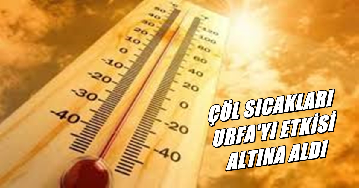 COL SİCAKLARİ