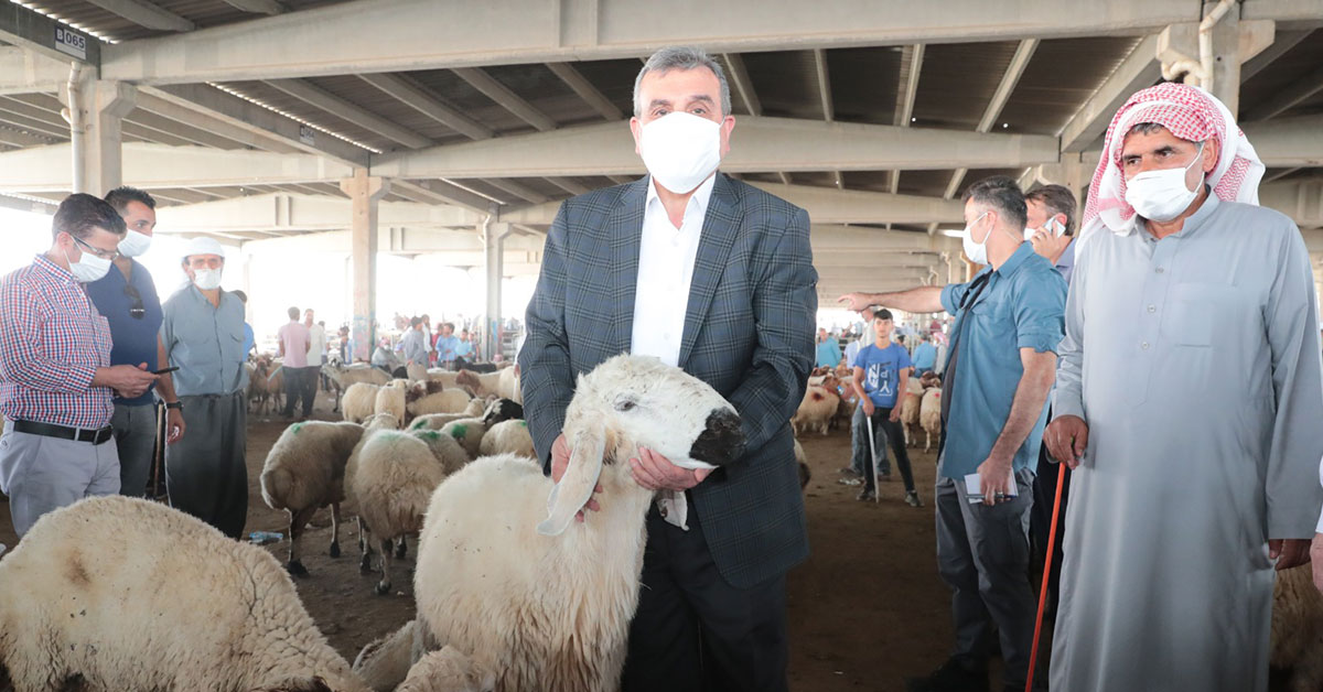 Beyazgül Kurban Bayramı Öncesi Canlı Hayvan Borsasında 1 beyazgul