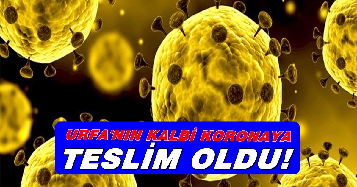 Urfa’nın O İlçesi Vaka Sayılarında Rekor Kırdı 1 coronavirus