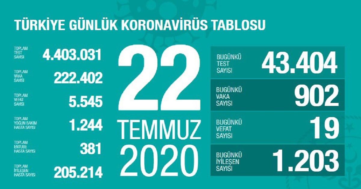 koronavirüs 2
