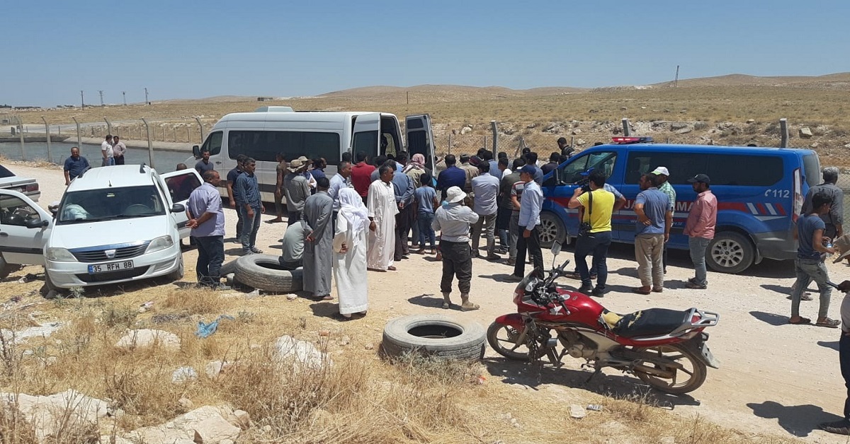 Kanala giren kuzenler akıntıya kapılarak kayboldu 1 sulama kanalı