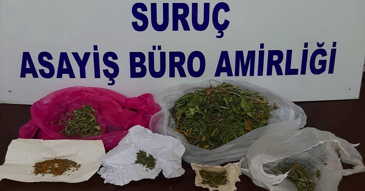 suruç