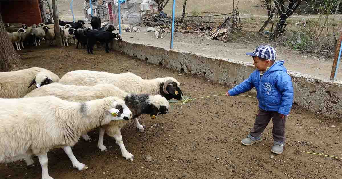 Türkiye'de bir ilk, 4 bin çiftçi başvurdu 3 45 bin kişi başvurdu iç 2