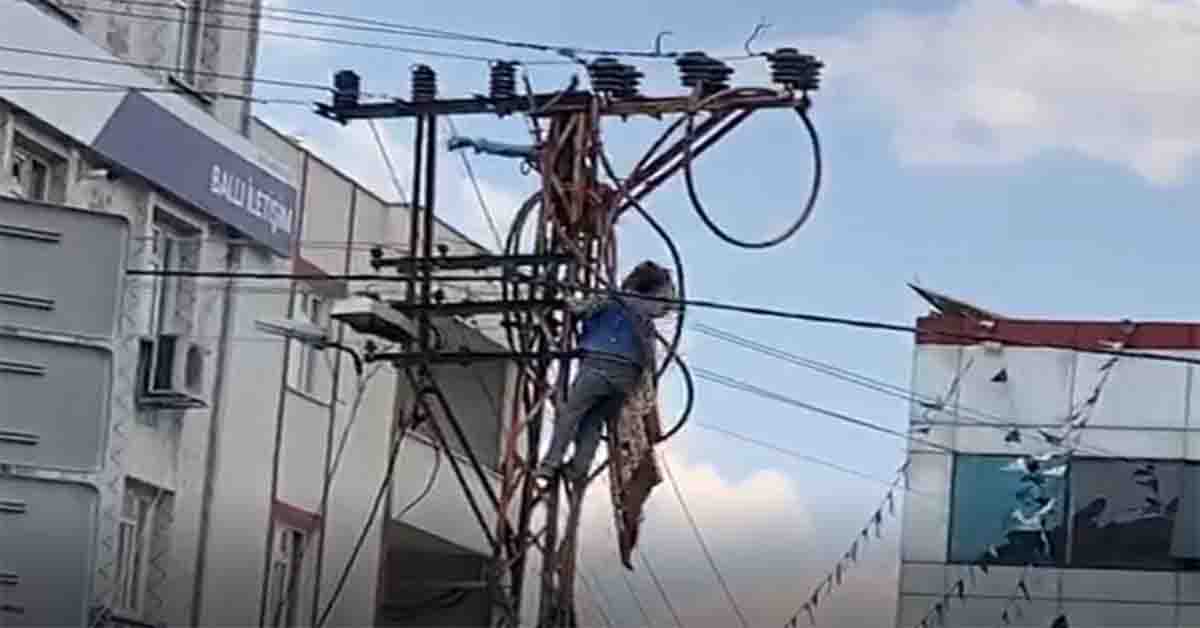 Elektrik direğinde ölüm kalım savaşı