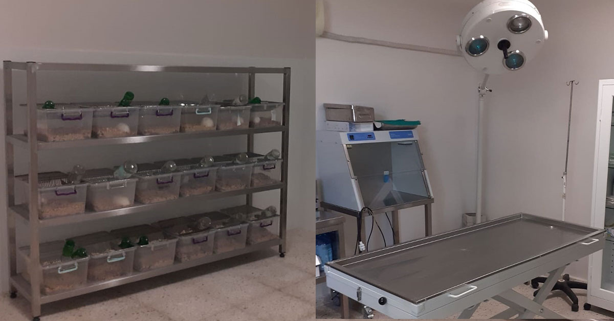 Harran Üniv. Bilimsel Çalışmalara Hız Kesmiyor 1 harran universitesi 2
