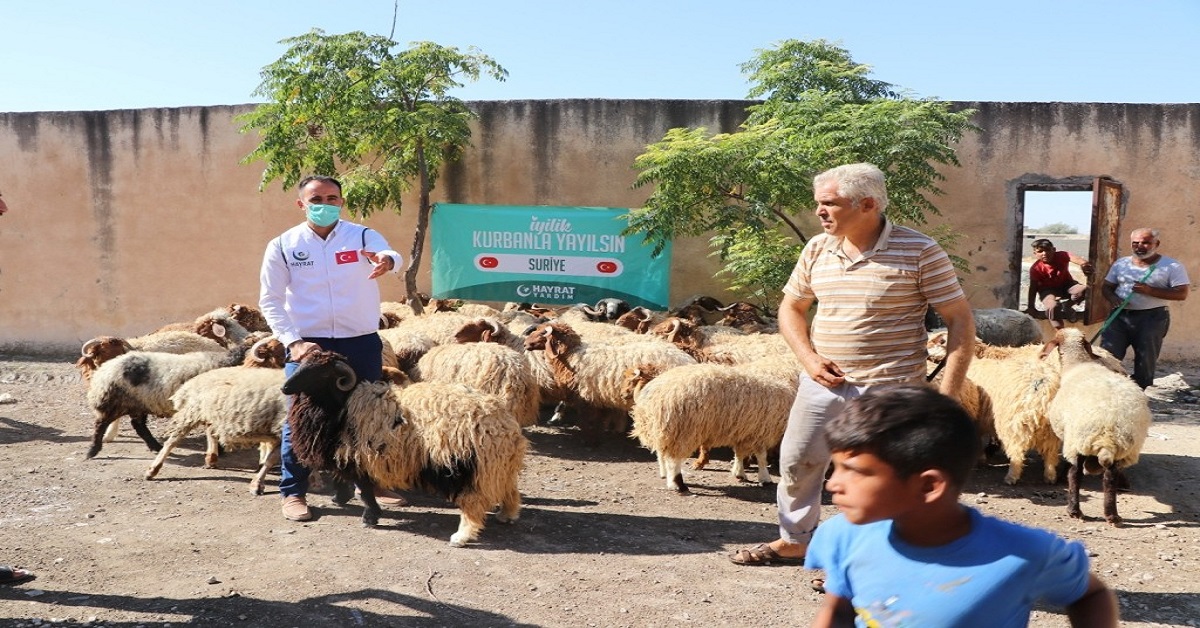 kurban