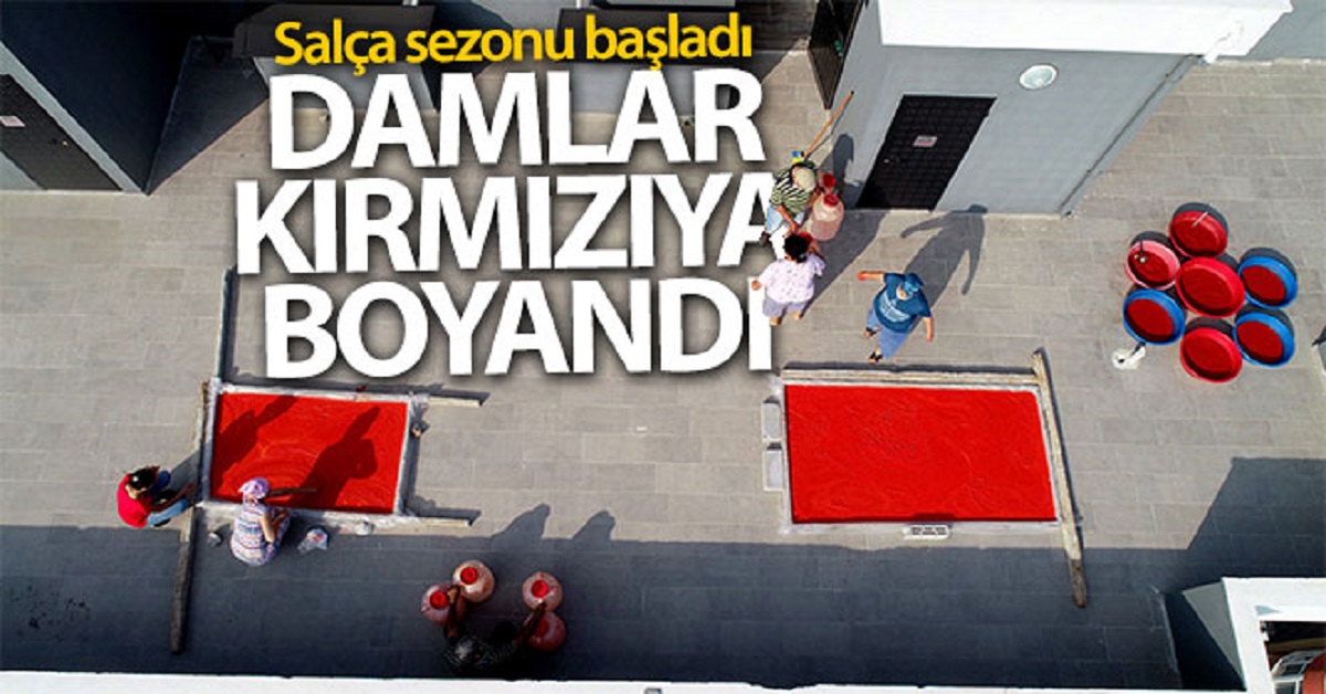 salça sezonu başladı damlar kırmızıya boyanıyor