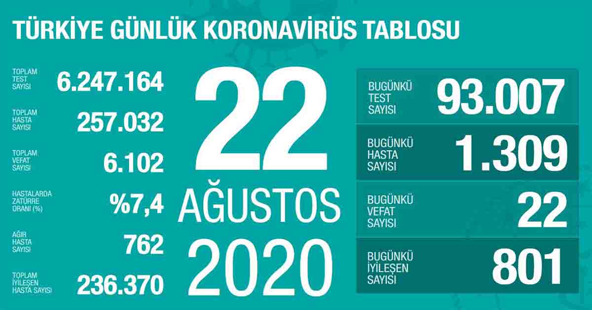 sağlık koronavirüs veri sayıları 13