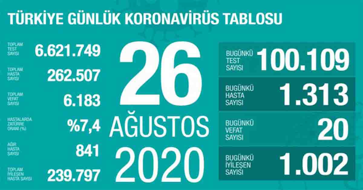sağlık koronavirüs veri sayıları 16