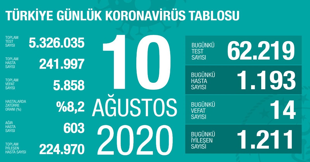 sağlık koronavirüs veri sayıları 3