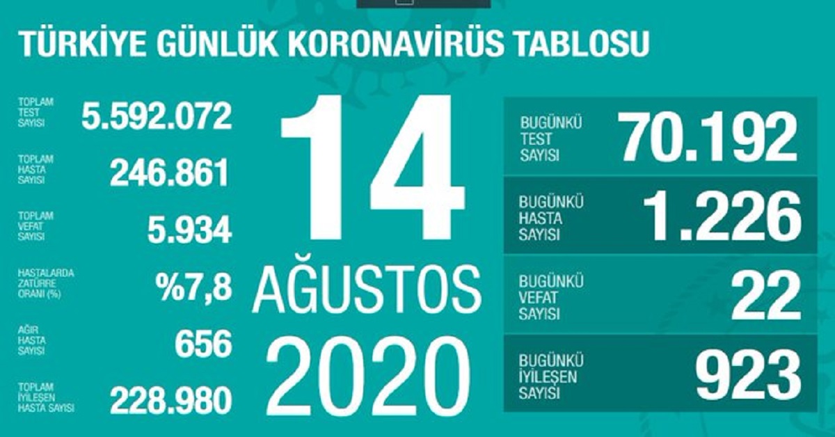 sağlık koronavirüs veri sayıları 6