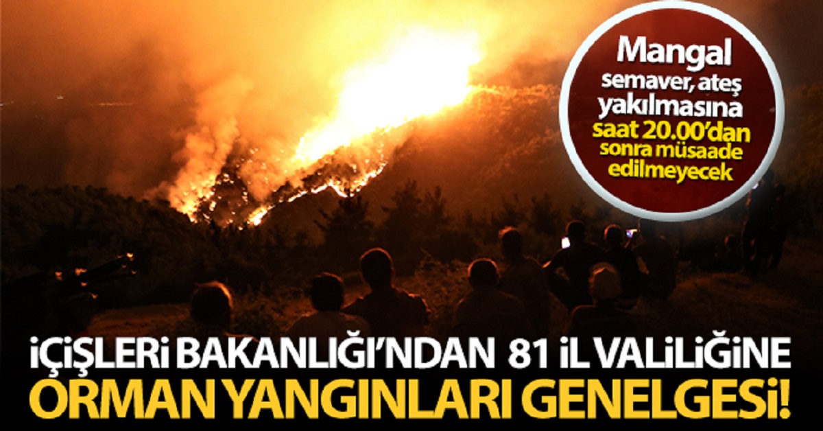 81 il valiliğine orman yangınları konulu genelge 1 valilik yasak