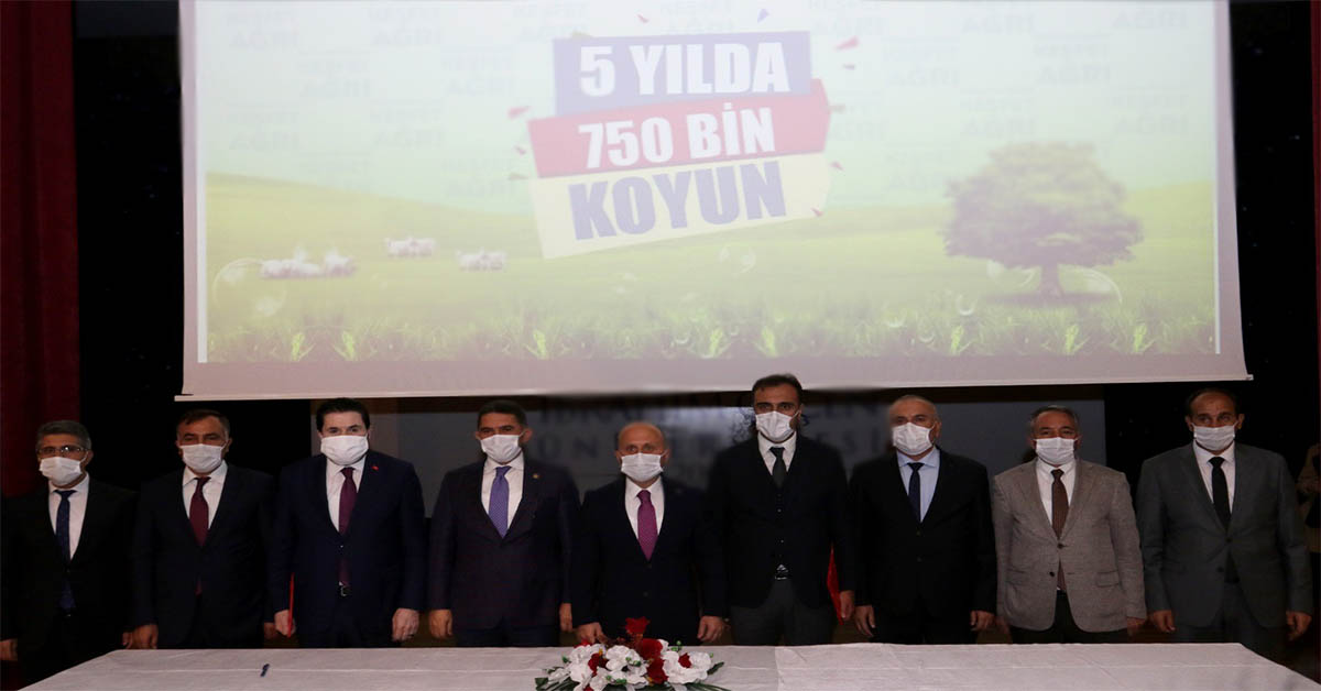 Çiftçilere 750 bin koyun dağıtılacak 1 750 bin koyun