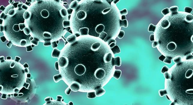 Koronavirüs Ne Zaman Biter ? 1 coronavirus