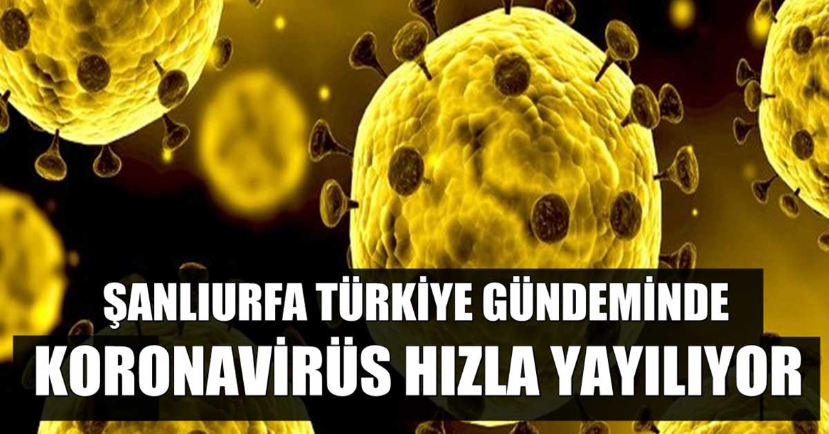 Ulusal Medya Şanlıurfa'yı Konuşuyor: İkinci Dalga mı Geldi 1 Korona-urfa