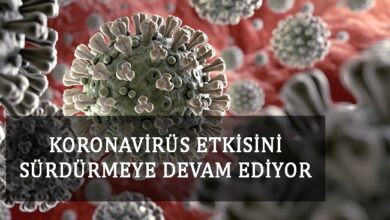 koronavirus turkiye