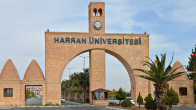 Photo of Harran Üniversitesi 81 Tane Kadrolu İşci Alacak