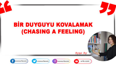 Photo of BİR DUYGUYU KOVALAMAK (CHASING A FEELING)