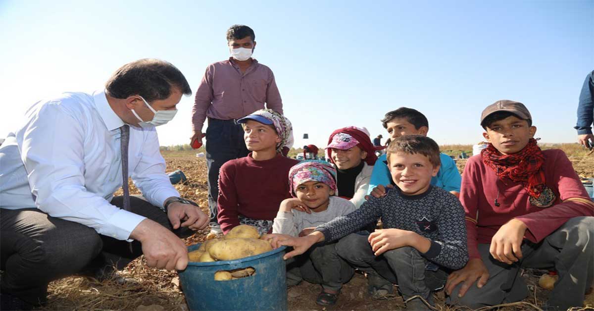 Urfa'lı tarım işçisi çocuklar için çadırda eğitim 1 sivandan urfalı çocuklara çadırda eğitim