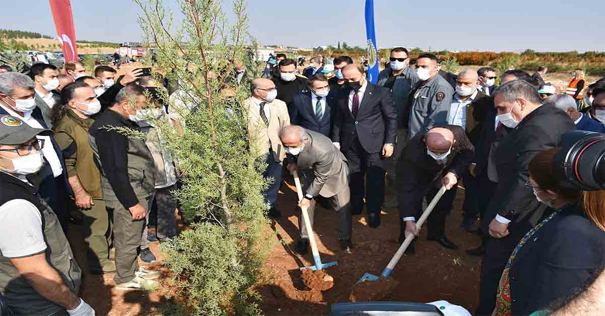 Harran Üniversitesi’nde 5 Bin Fidan Dikildi