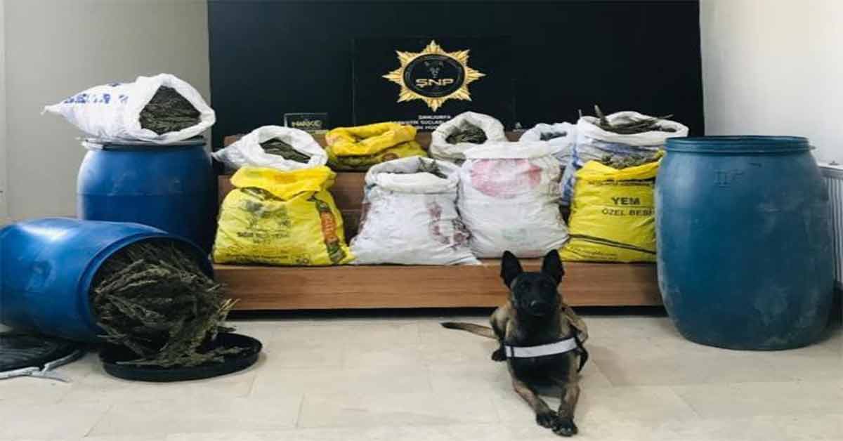 Şanlıurfa’da uyuşturucu operasyonu: 2 gözaltı 1 Şanlıurfa’da uyuşturucu operasyonu: 2 gözaltı