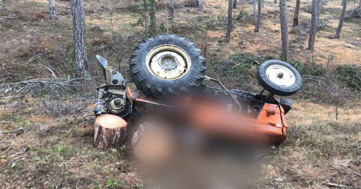 Tomruk yüklü traktör devrildi: 1 ölü