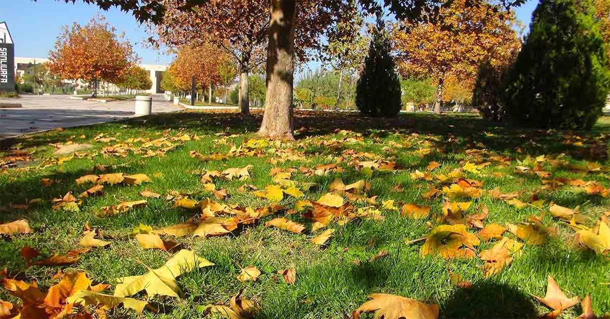 Urfa sessiz kalınca kartpostallık görüntüler oluştu
