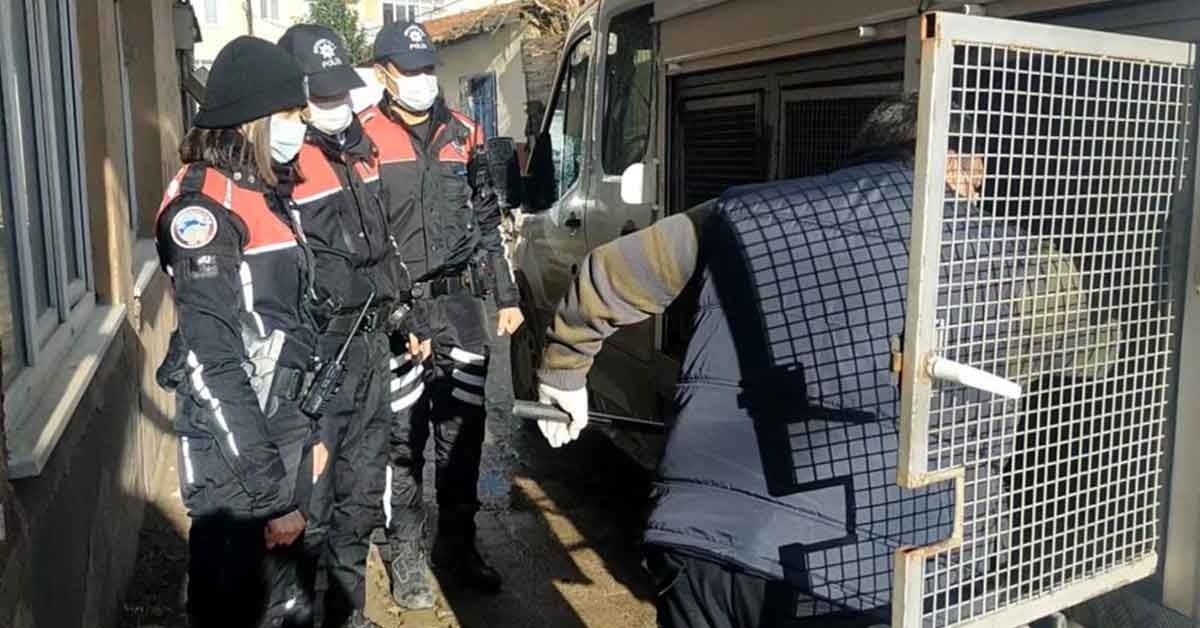 Boş Binada Köpeğe Tecavüz Ederken Yakalandı 2 SAVE 20210126 124215
