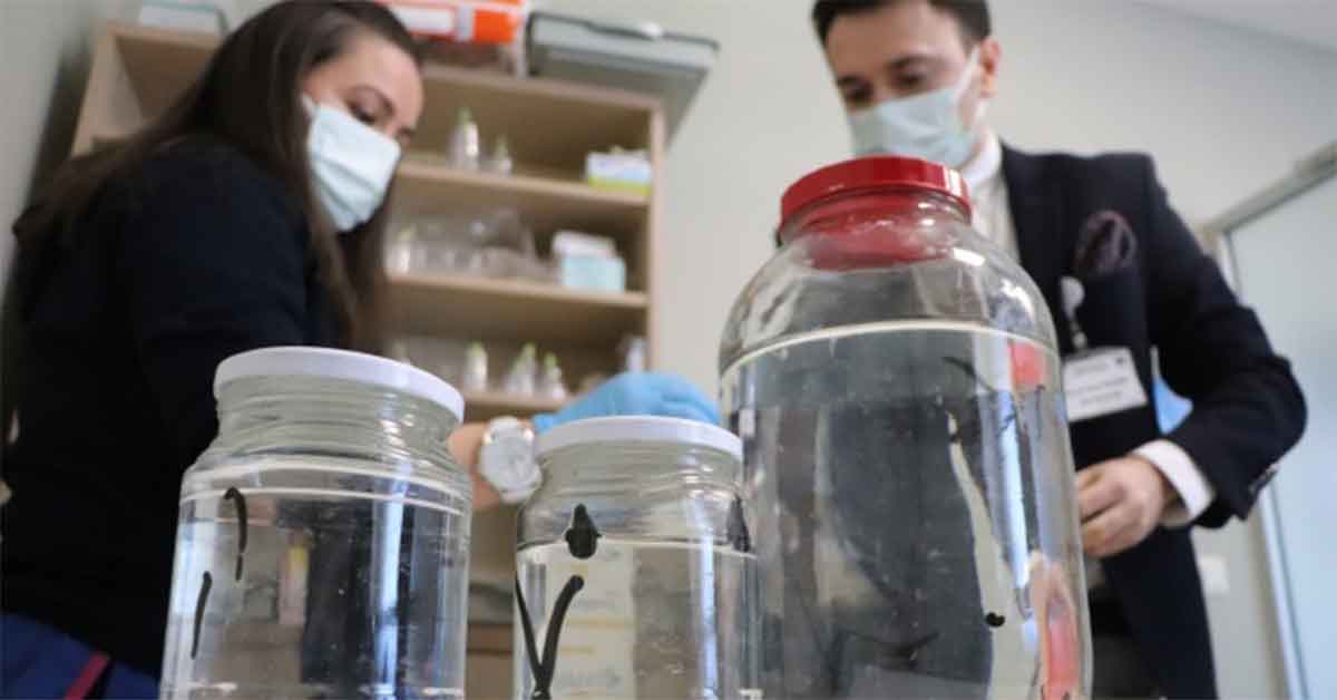 Eski tedavi yöntemleri bu merkezde uygulanıyor 1 Binlerce yıllık tedavi yöntemleri bu merkezde uygulanıyor