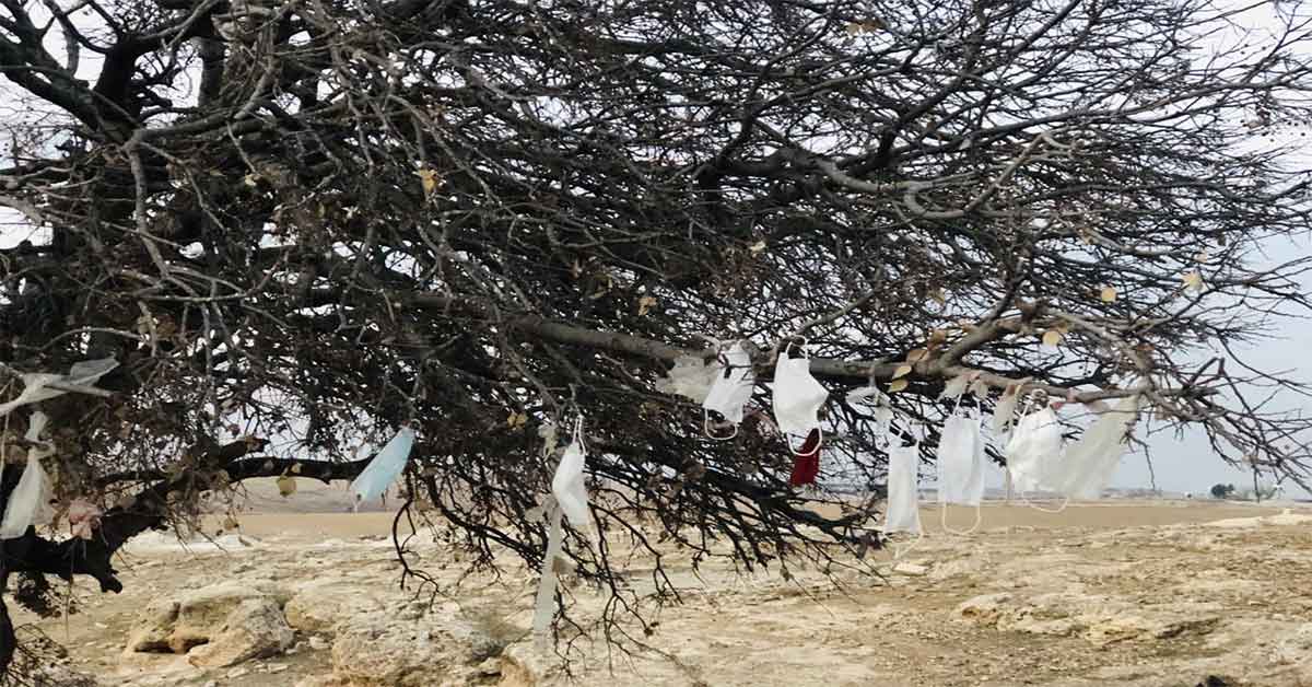 Şanlıurfa'da Ağaca çaput yerine maske bağlandı 1 Şanlıurfa'da Ağaca çaput yerine maske bağlandı