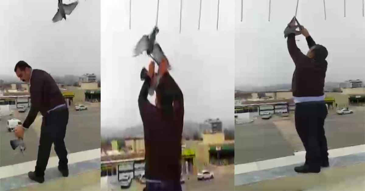 Urfa'da güvercinleri canını hiçe sayarak kurtardı