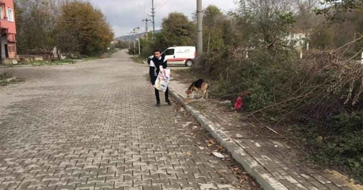 Kazancının yarısını sokak hayvanları için harcıyor 1 Kazancının yarısını sokak hayvanları için harcıyor