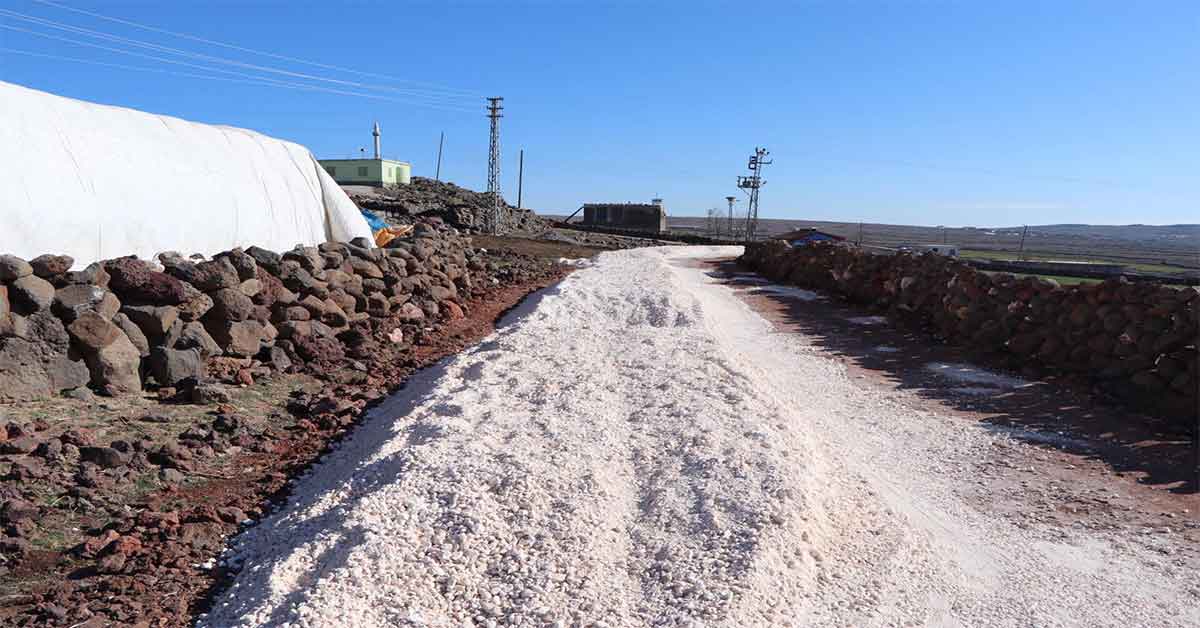 Viranşehir'de çalışmalar kaldığı yerden devam ediyor 1 Viranşehir'de çalışmalar kaldığı yerden devam ediyor